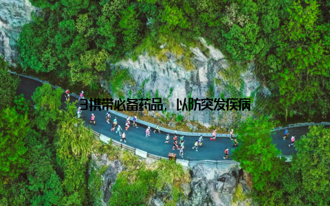 3携带必备药品, 以防突发疾病
