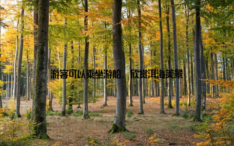 游客可以乘坐游船, 欣赏洱海美景
