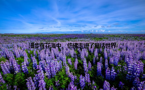 漫步在花海中, 仿佛走进了童话世界
